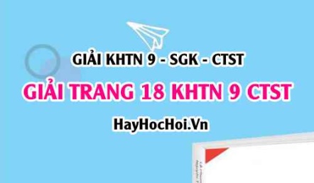 Giải KHTN 9 trang 18 Chân trời sáng tạo SGK